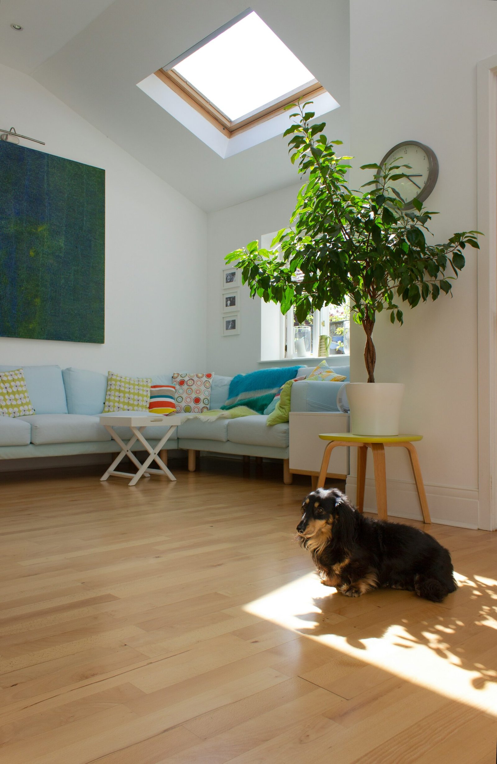 Pose Velux Seurre – Fenêtres de toit pour plus de lumière naturelle et de confort thermique