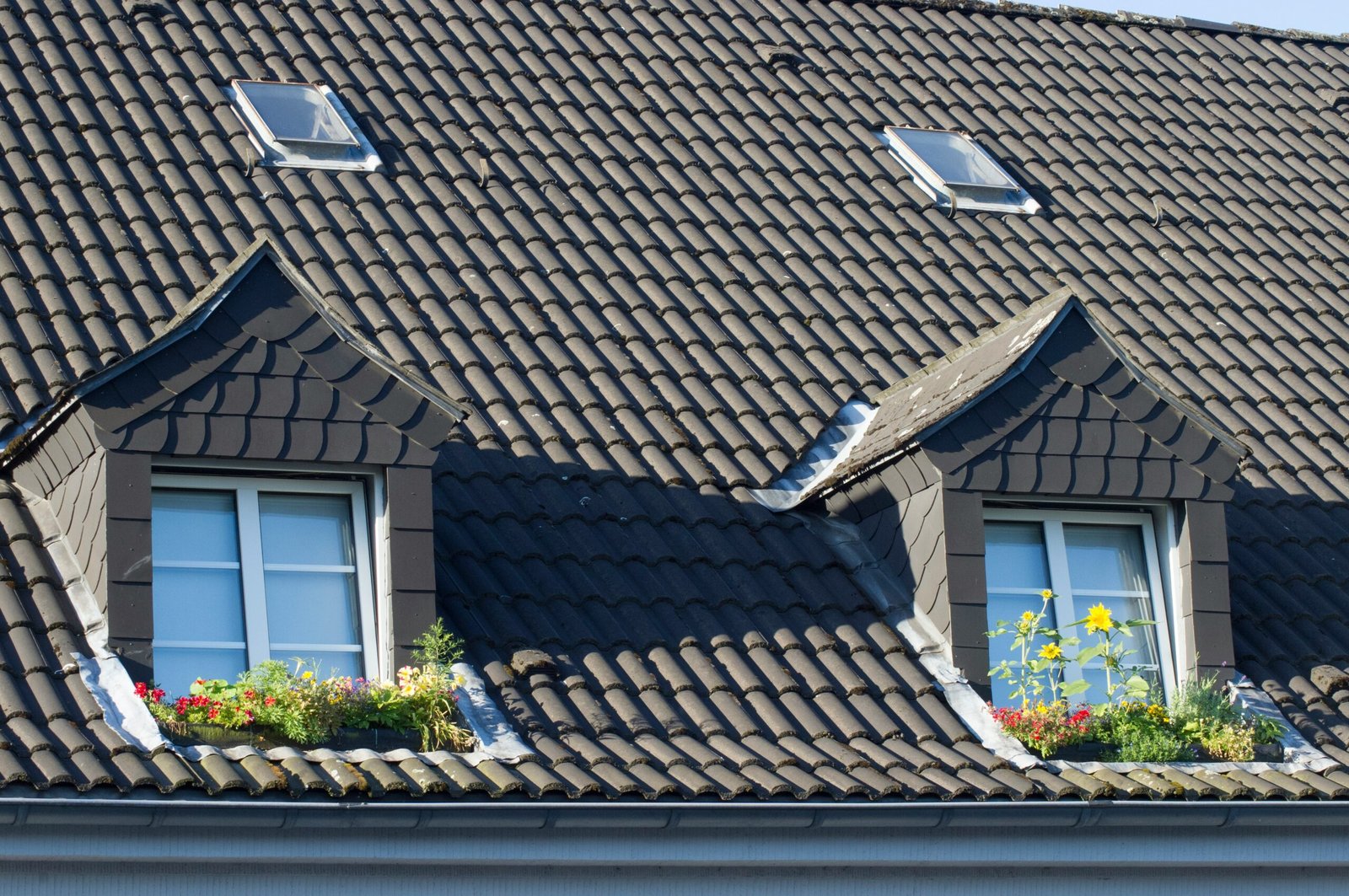 Pose Velux Seurre – Remplacement ou création de fenêtres de toit personnalisées